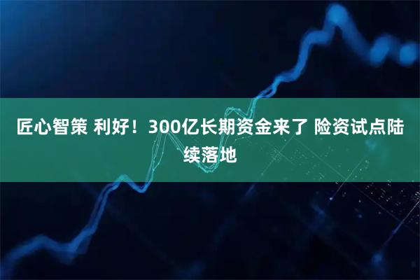 匠心智策 利好！300亿长期资金来了 险资试点陆续落地