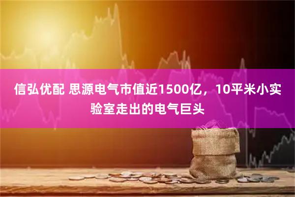 信弘优配 思源电气市值近1500亿，10平米小实验室走出的电气巨头