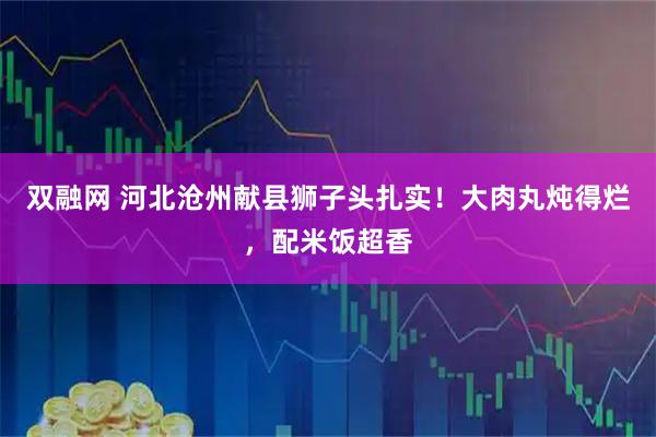 双融网 河北沧州献县狮子头扎实！大肉丸炖得烂，配米饭超香