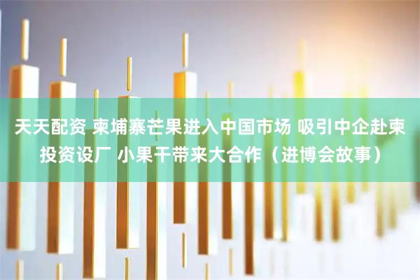 天天配资 柬埔寨芒果进入中国市场 吸引中企赴柬投资设厂 小果干带来大合作（进博会故事）