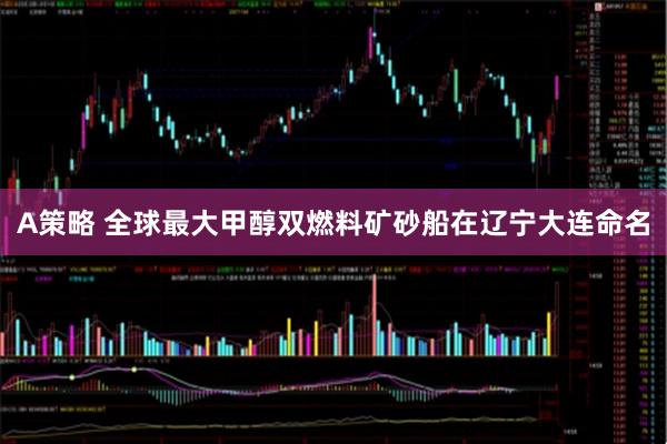A策略 全球最大甲醇双燃料矿砂船在辽宁大连命名