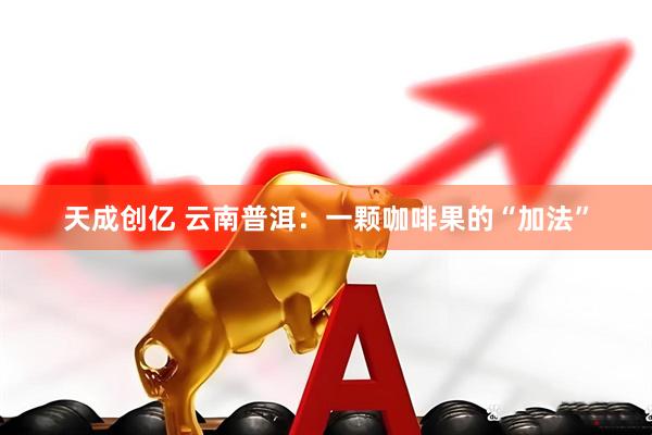 天成创亿 云南普洱：一颗咖啡果的“加法”